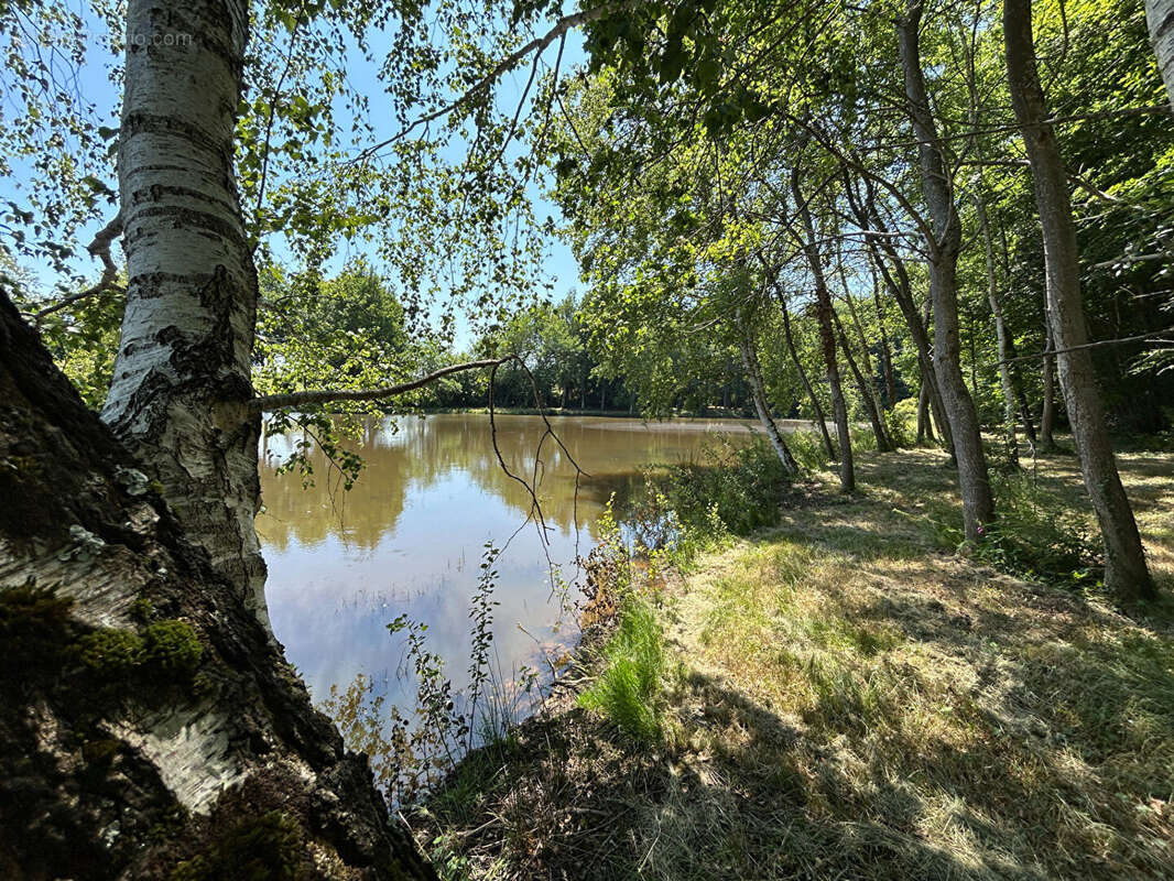 Terrain à SAINT-DESIRE