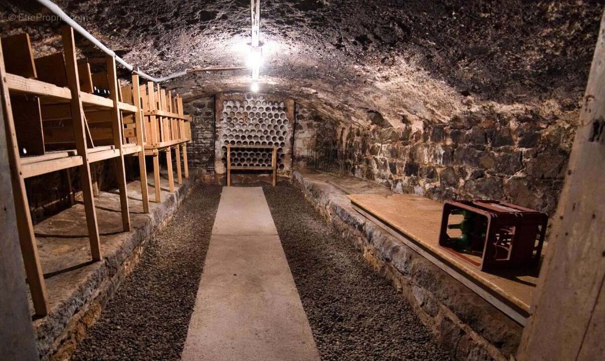 Photo 7 - Commerce à SAINT-AVIT