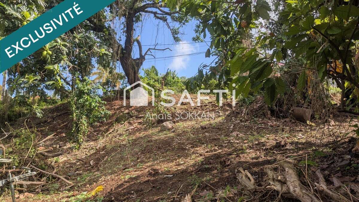 Photo 2 - Terrain à RIVIERE-SALEE