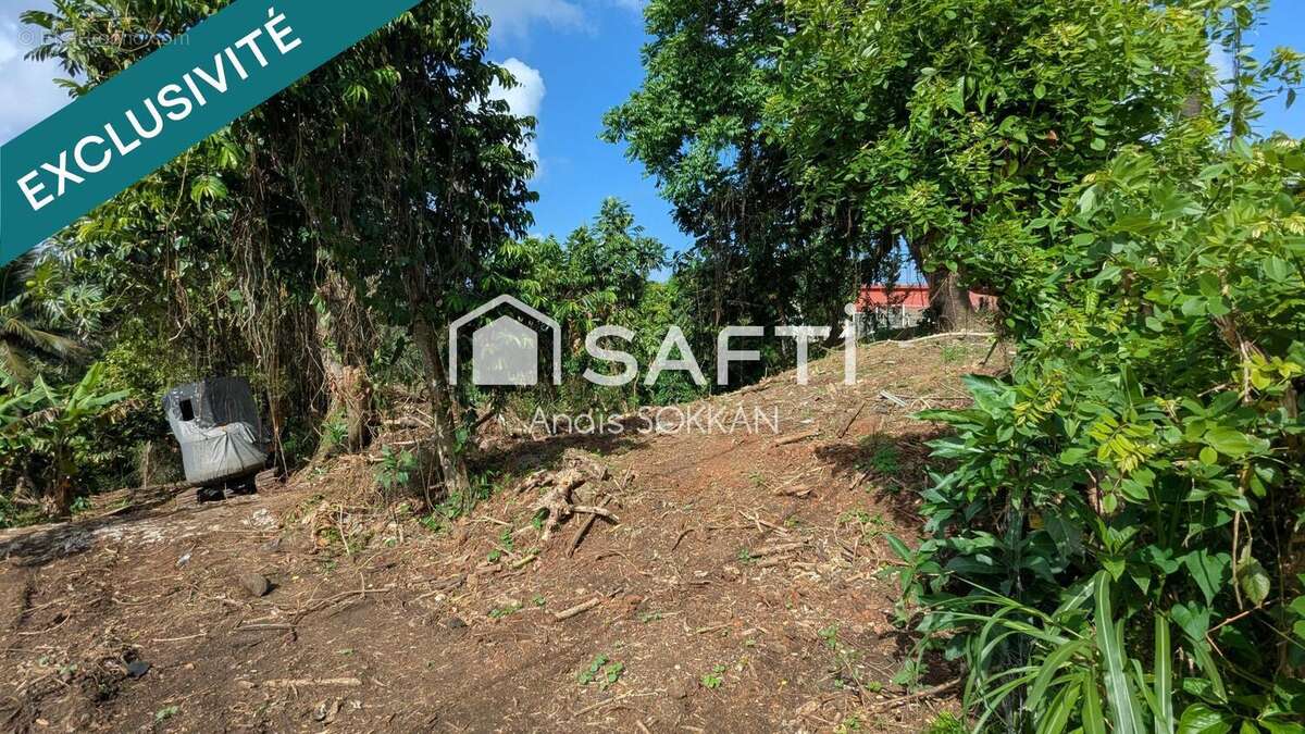 Photo 4 - Terrain à RIVIERE-SALEE