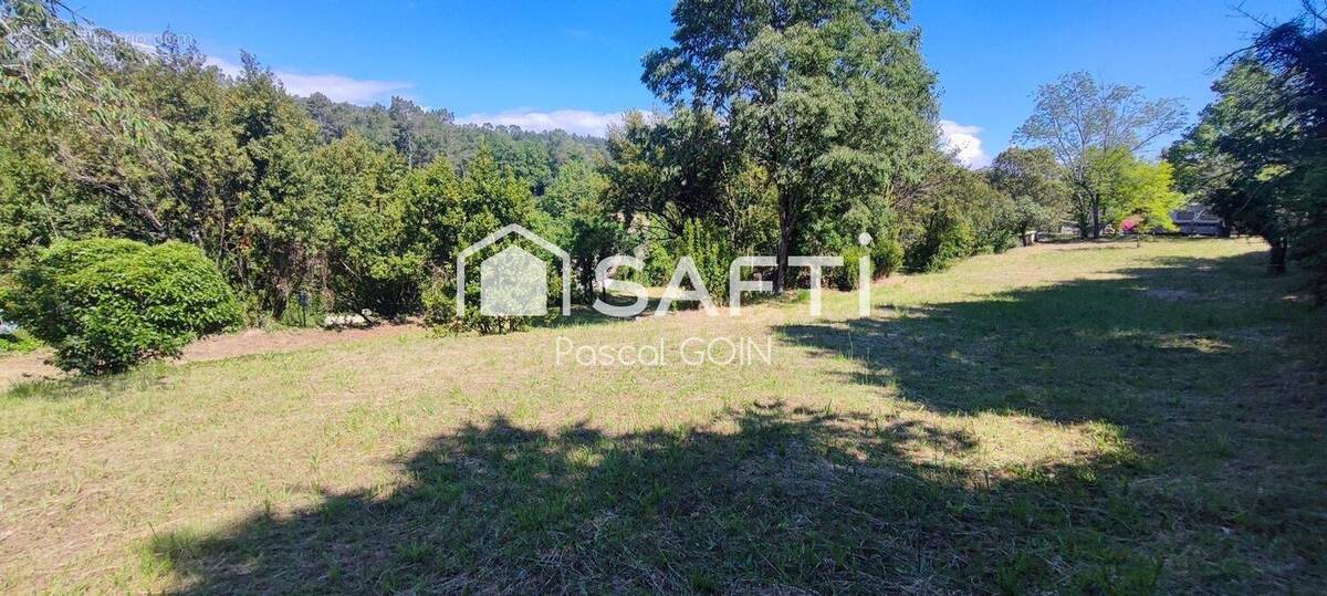Photo 1 - Terrain à SALAVAS