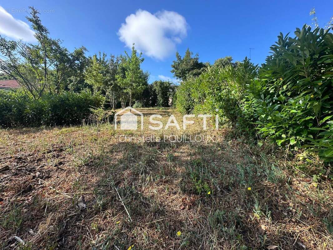 Photo 5 - Terrain à NIORT