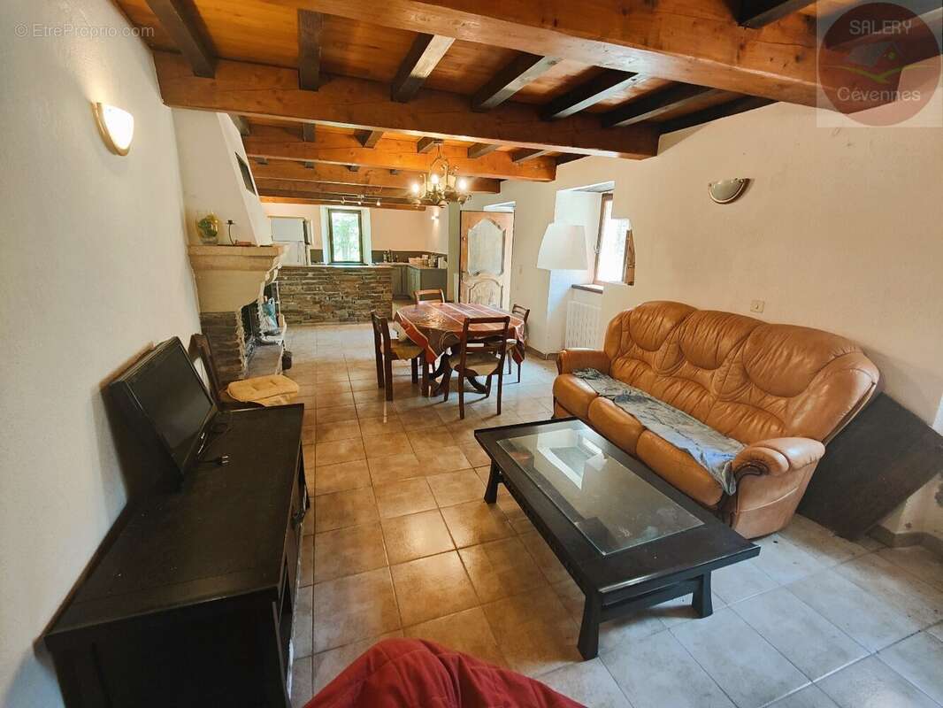 Maison à SAINT-ANDRE-DE-VALBORGNE