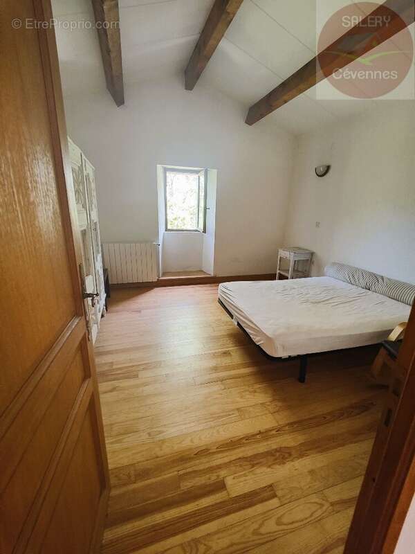 Maison à SAINT-ANDRE-DE-VALBORGNE