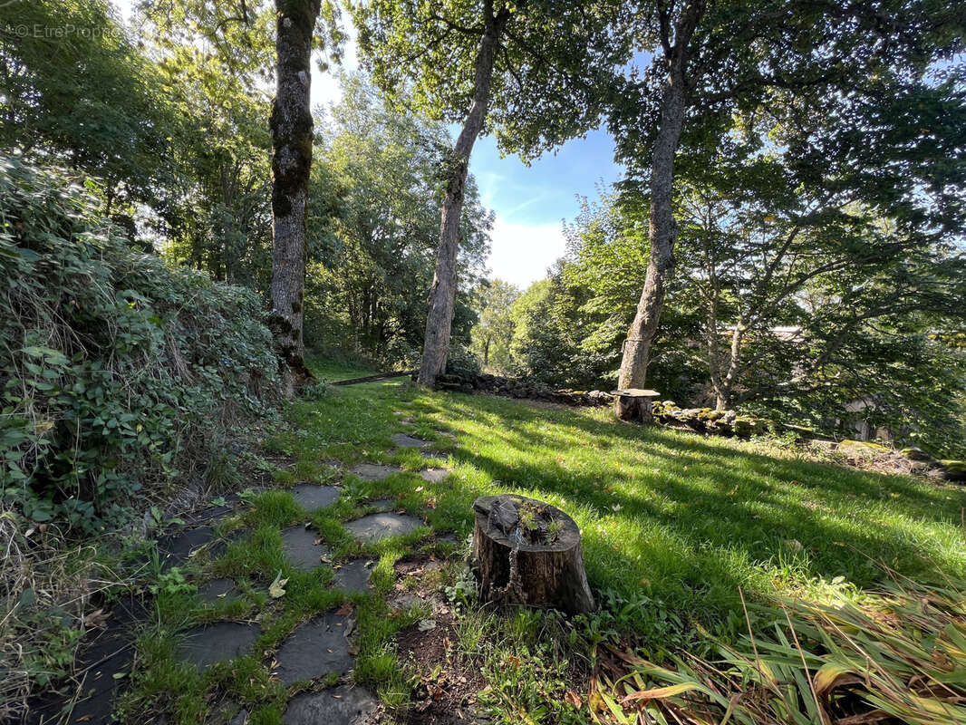 Maison à SAINT-FRONT