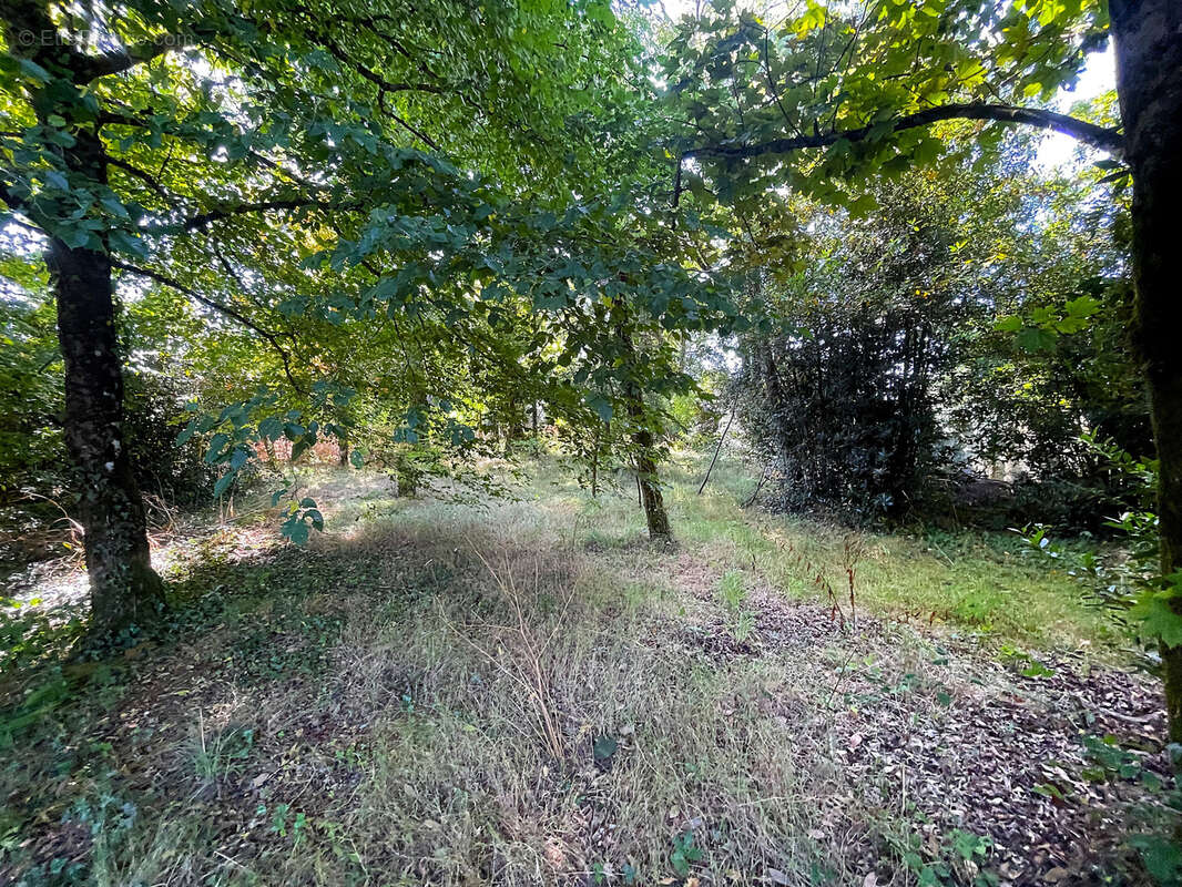 Maison à LA LIMOUZINIERE
