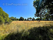 Maison à LA LIMOUZINIERE