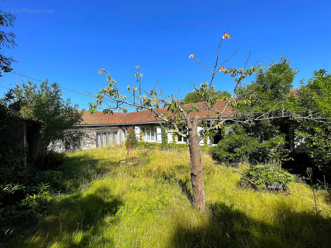 Maison à LA LIMOUZINIERE
