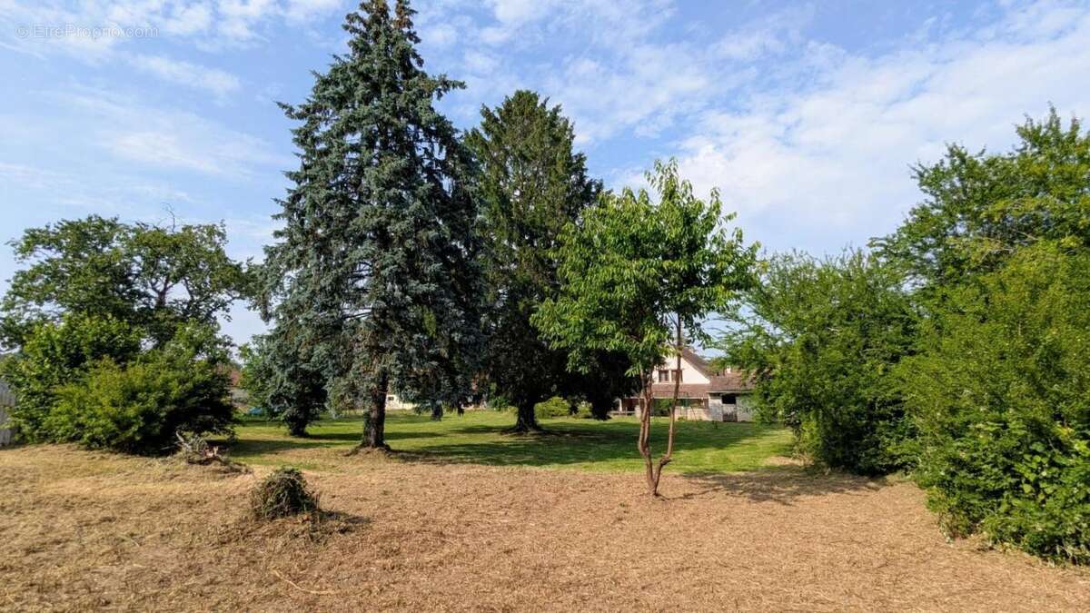 Maison à CHARREY-SUR-SAONE
