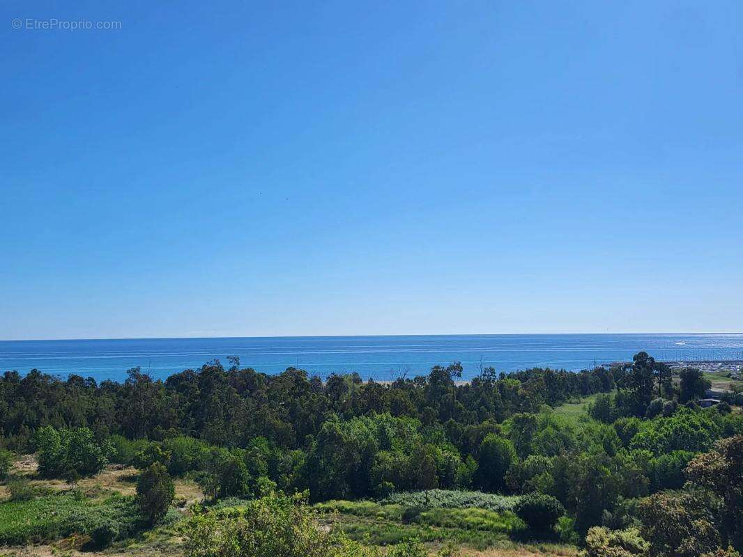 Maison à SARI-SOLENZARA