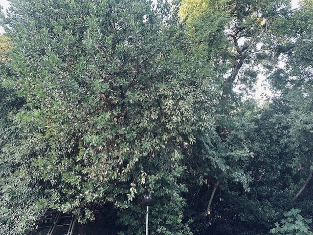 Appartement à ARCACHON