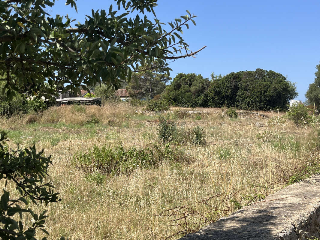 Terrain à PIANOTTOLI-CALDARELLO