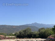 Terrain à PIANOTTOLI-CALDARELLO