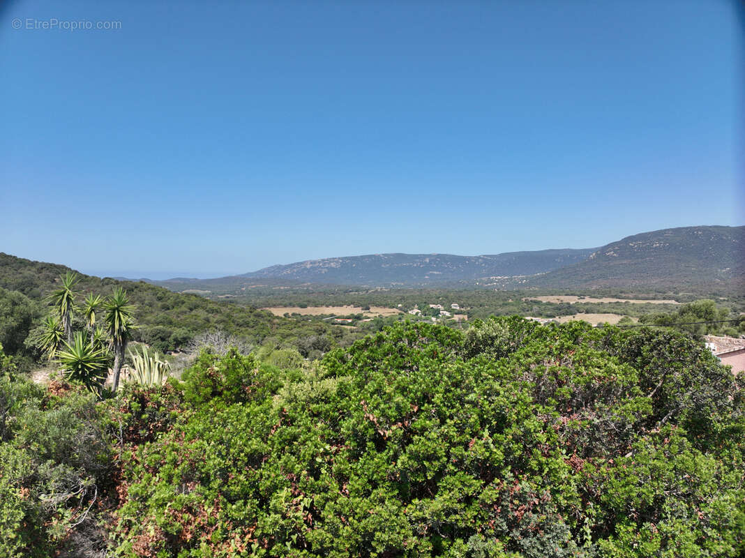 Terrain à PIANOTTOLI-CALDARELLO