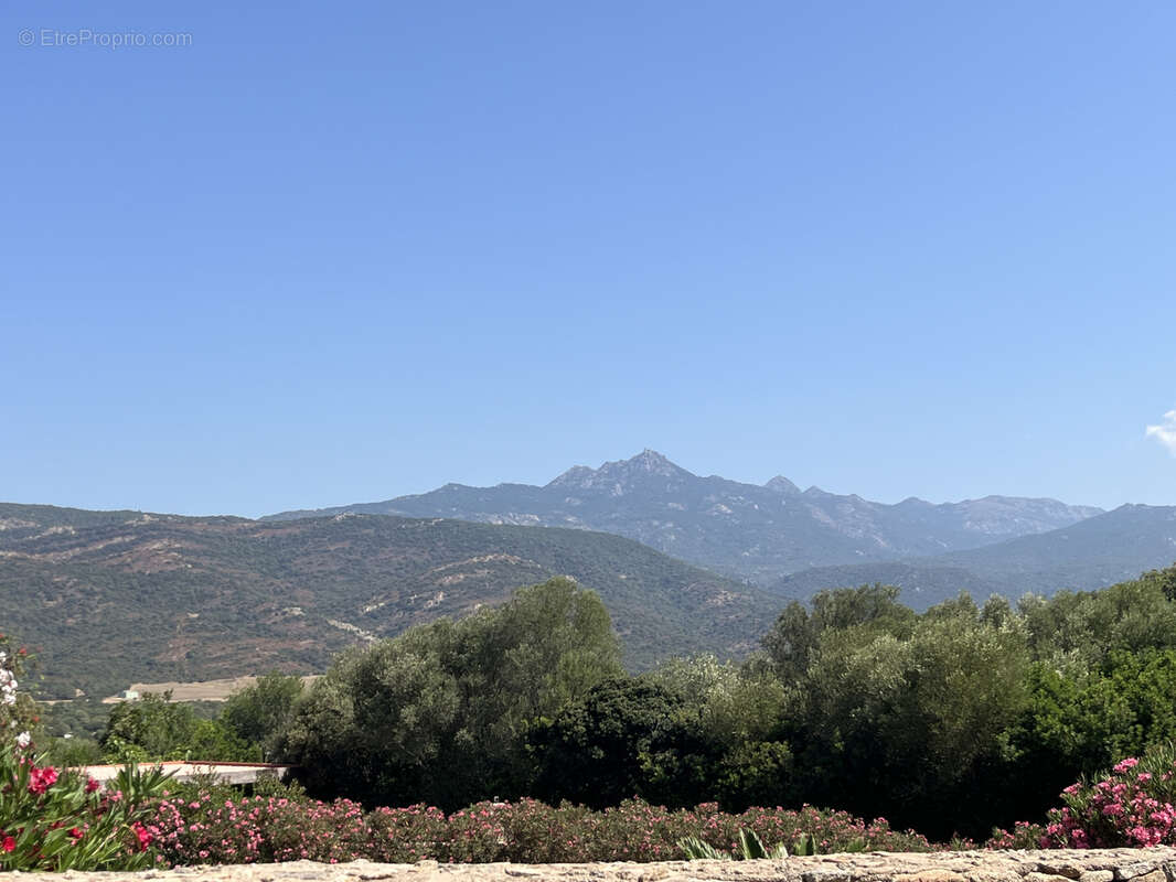 Terrain à PIANOTTOLI-CALDARELLO