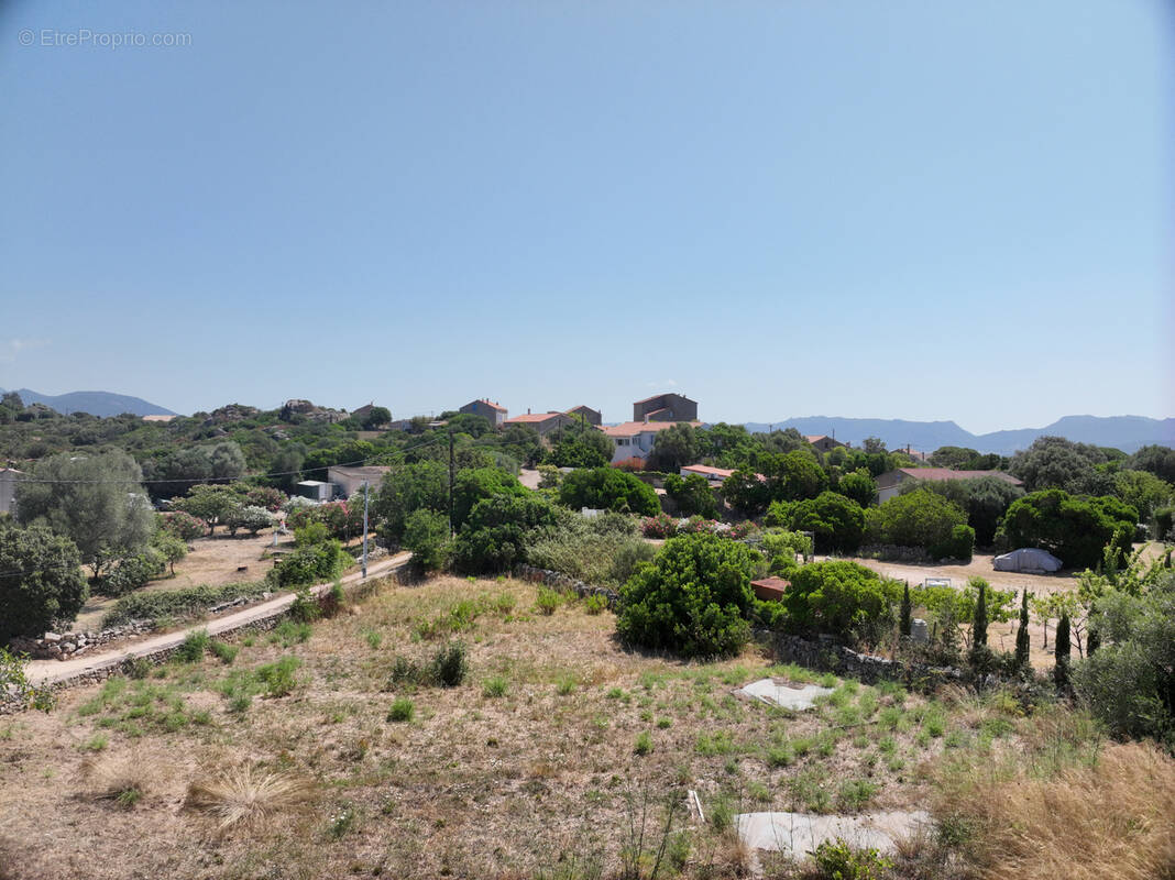 Terrain à PIANOTTOLI-CALDARELLO