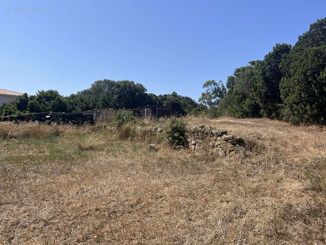 Terrain à PIANOTTOLI-CALDARELLO