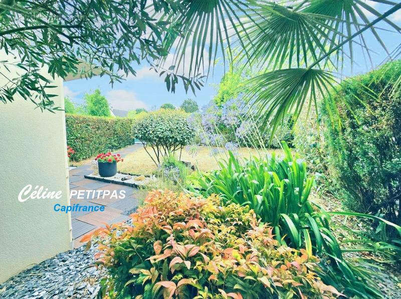 Appartement à SAINT-THURIAL