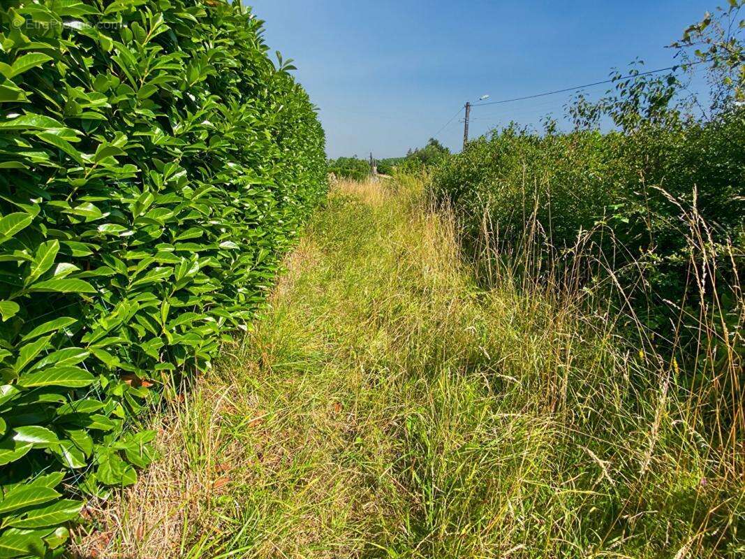 Terrain à SACHY