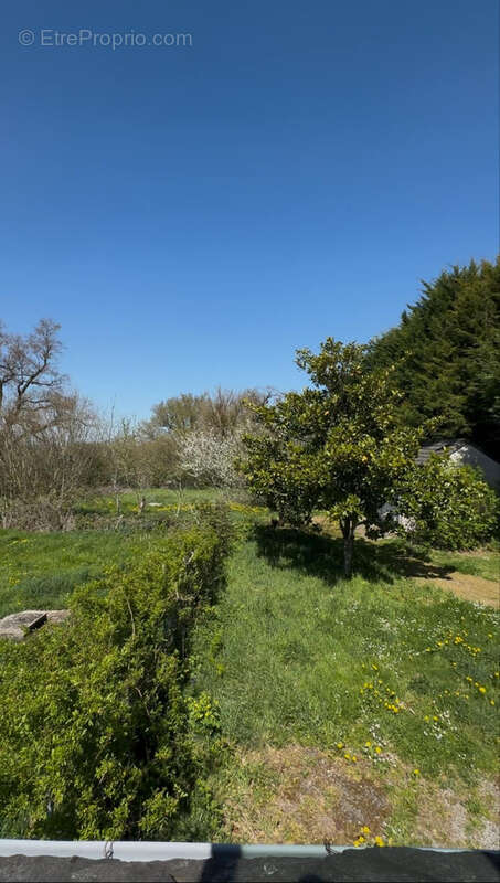 Maison à RIEUPEYROUX