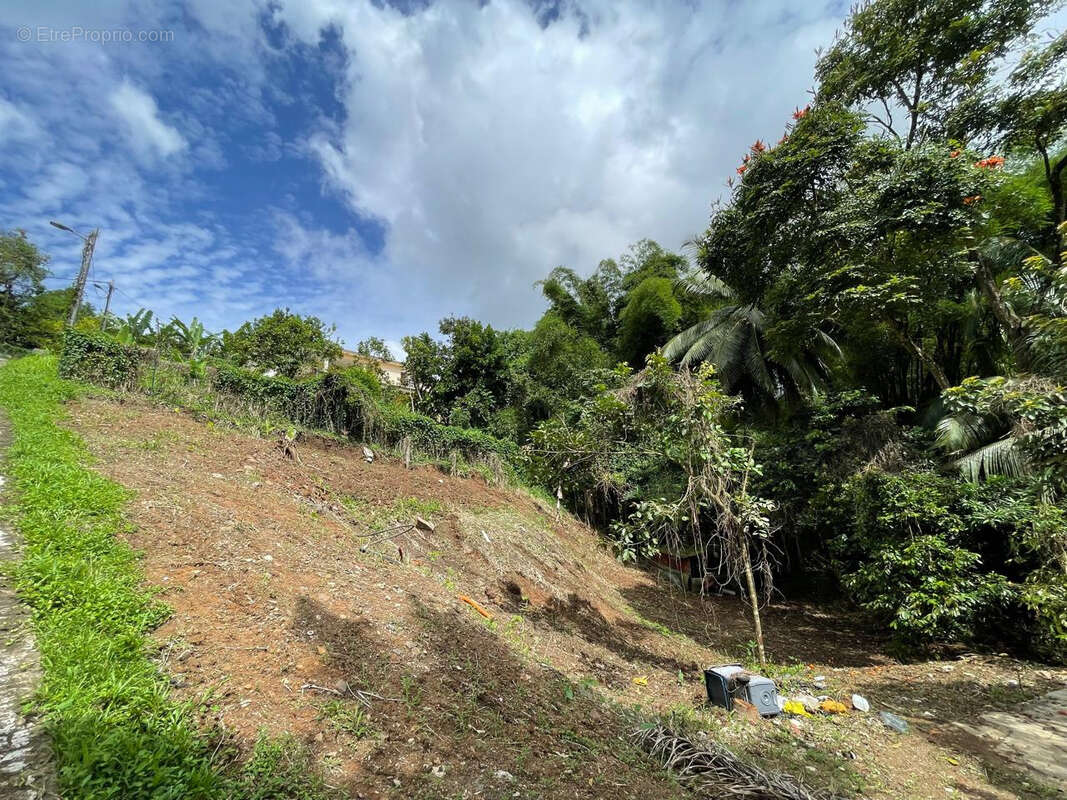 Terrain à FORT-DE-FRANCE