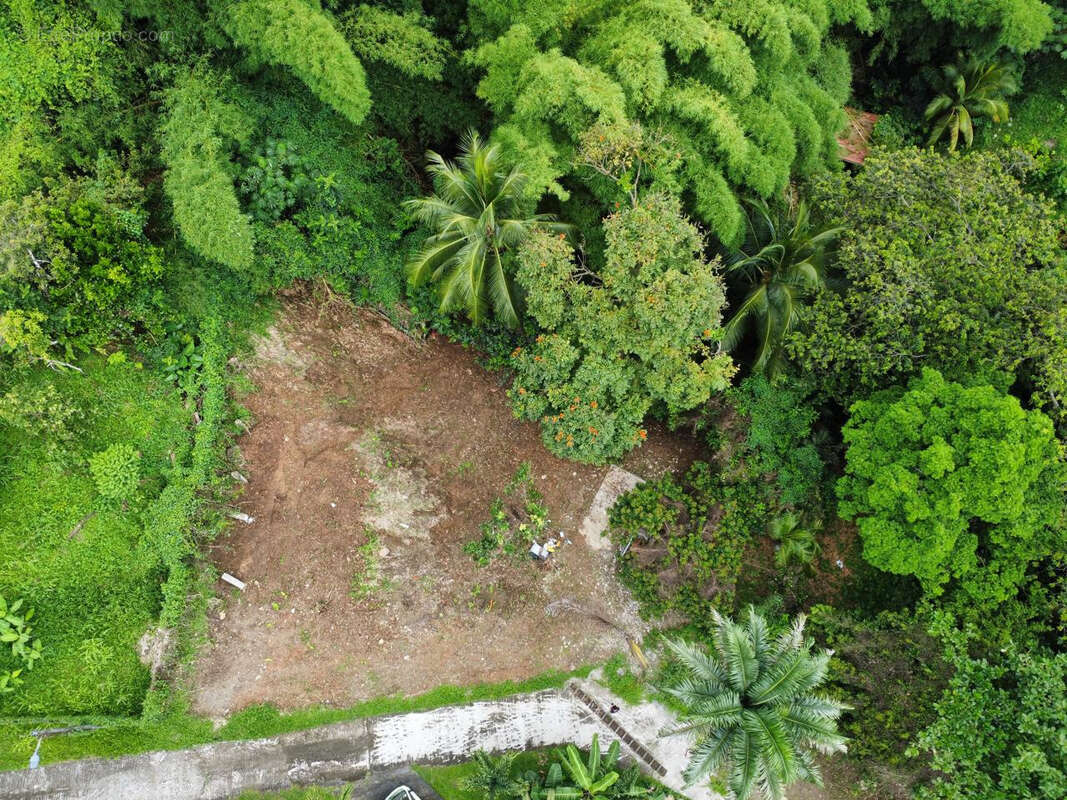 Terrain à FORT-DE-FRANCE