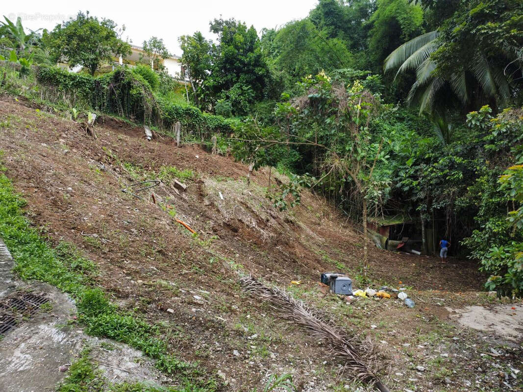 Terrain à FORT-DE-FRANCE