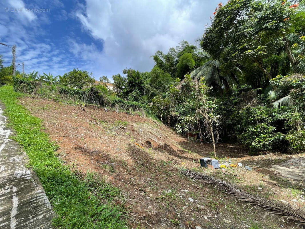 Terrain à FORT-DE-FRANCE