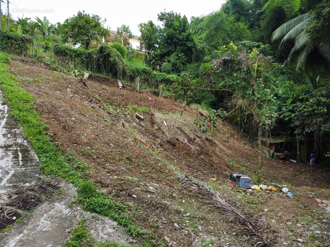 Terrain à FORT-DE-FRANCE