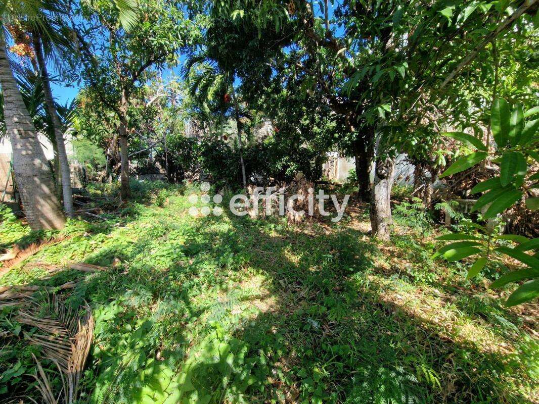 Maison à SAINT-DENIS