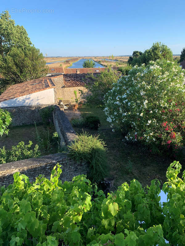 Maison à LES PORTES-EN-RE