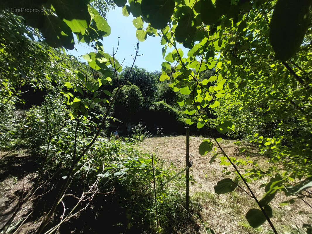 Terrain à BREIL-SUR-ROYA