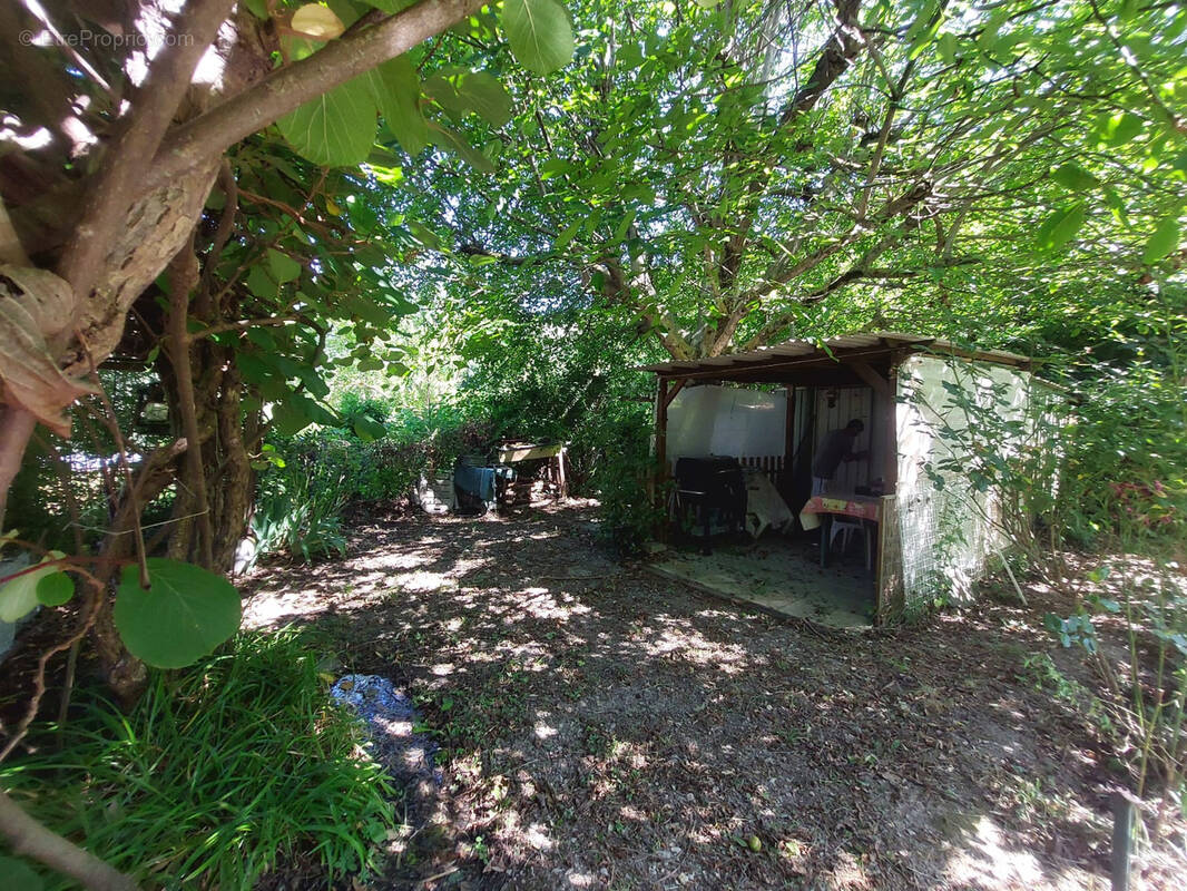 Terrain à BREIL-SUR-ROYA