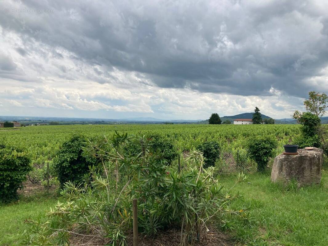 Maison à VILLIE-MORGON