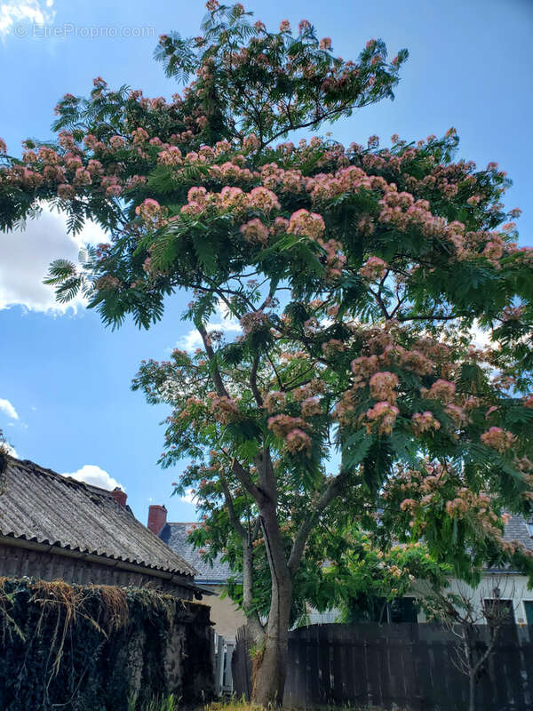 Maison à MONTRELAIS