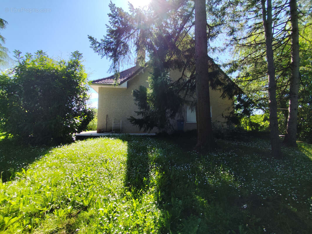 Maison à SAINT-BENOIT