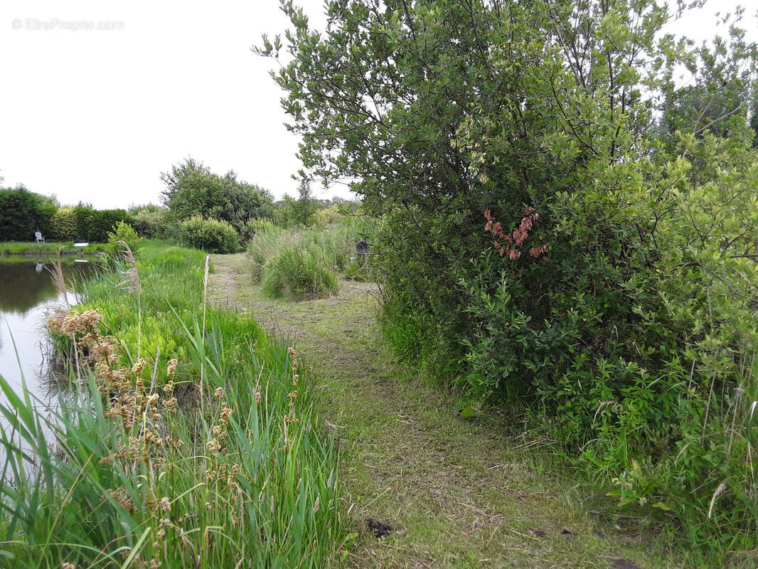 Terrain à MERLIMONT