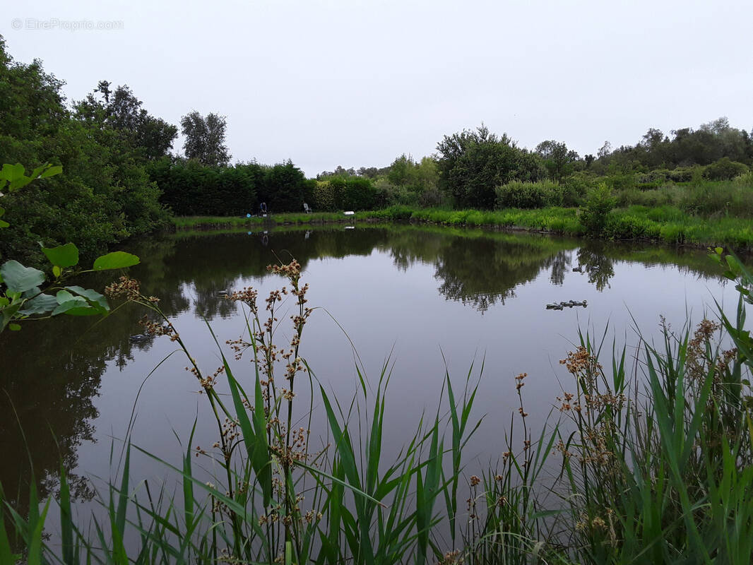 Terrain à MERLIMONT