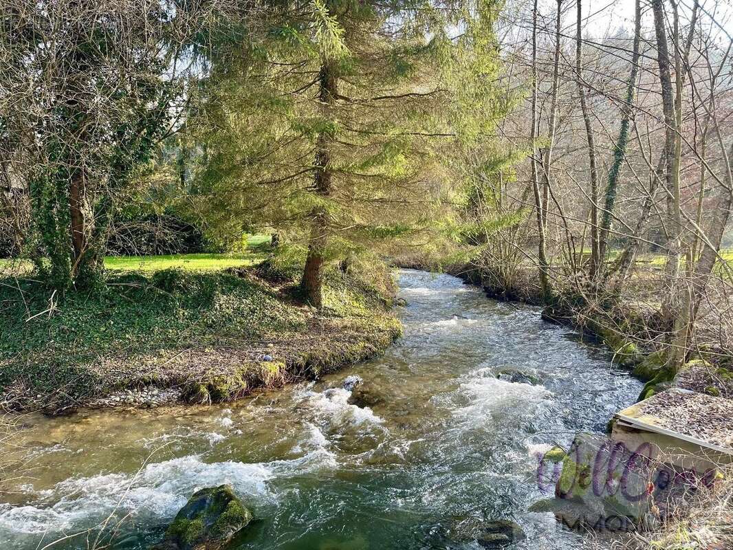 Maison à SAINT-GEOIRE-EN-VALDAINE