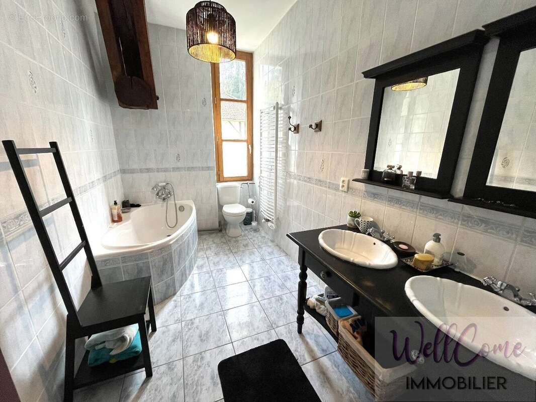 Maison à SAINT-GEOIRE-EN-VALDAINE