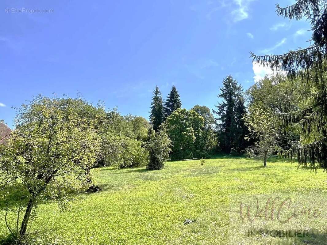 Maison à SAINT-GEOIRE-EN-VALDAINE