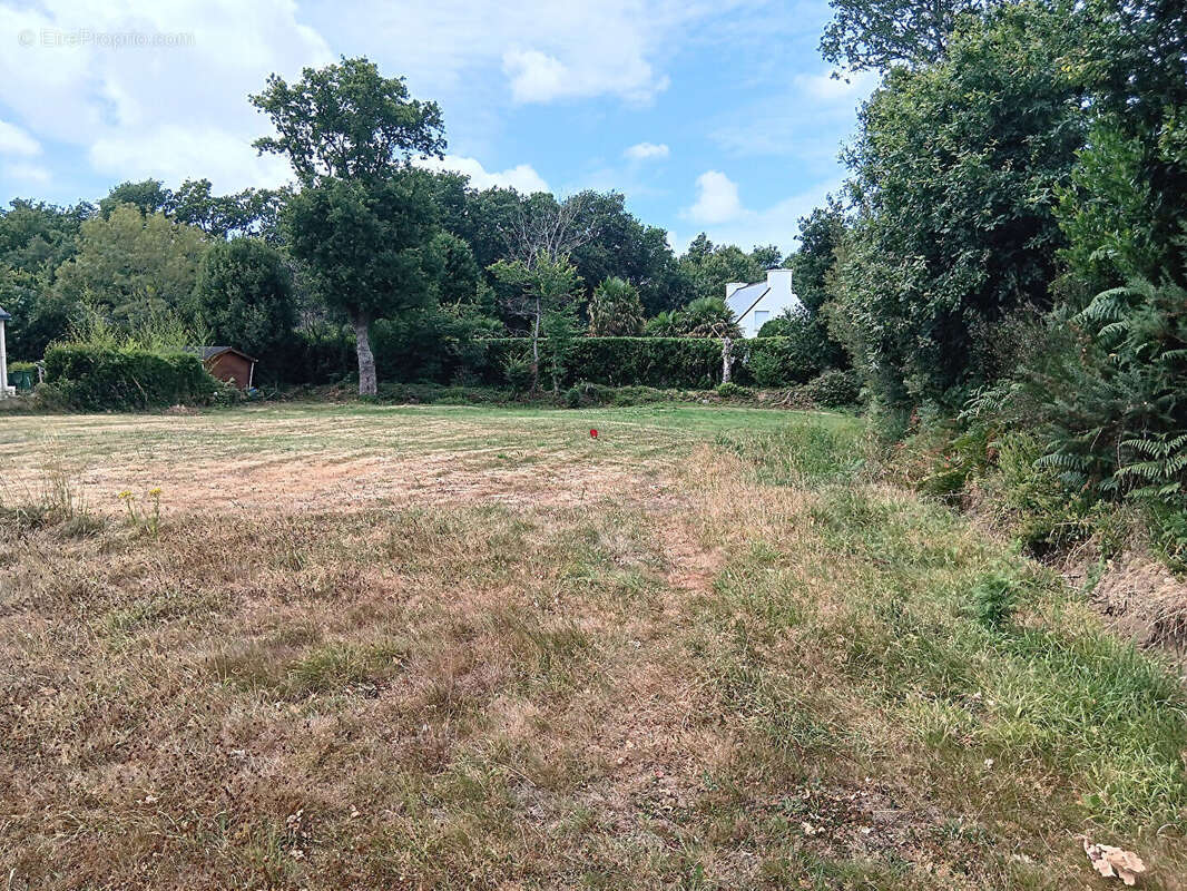 Terrain à SAINTE-ANNE-D&#039;AURAY