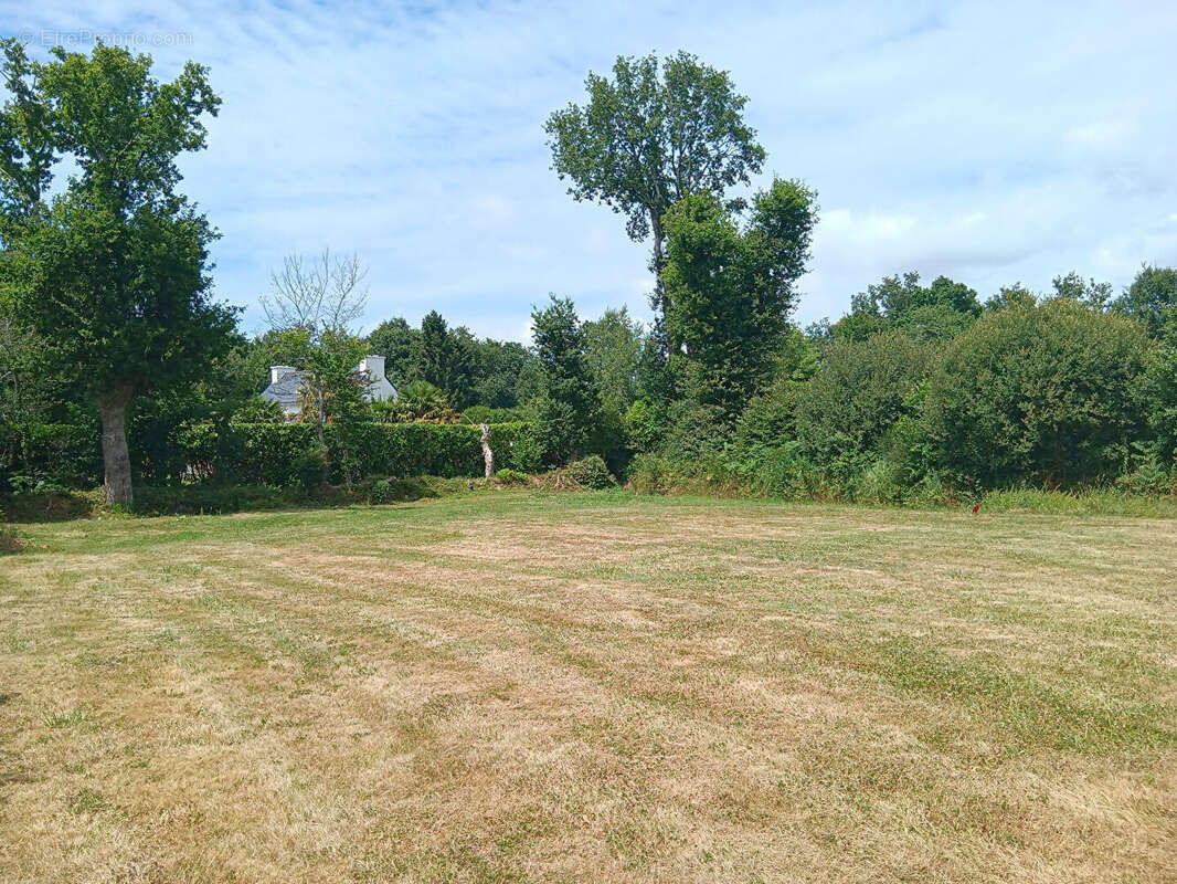 Terrain à SAINTE-ANNE-D&#039;AURAY