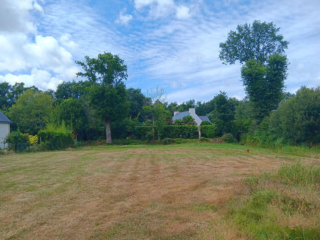 Terrain à SAINTE-ANNE-D&#039;AURAY