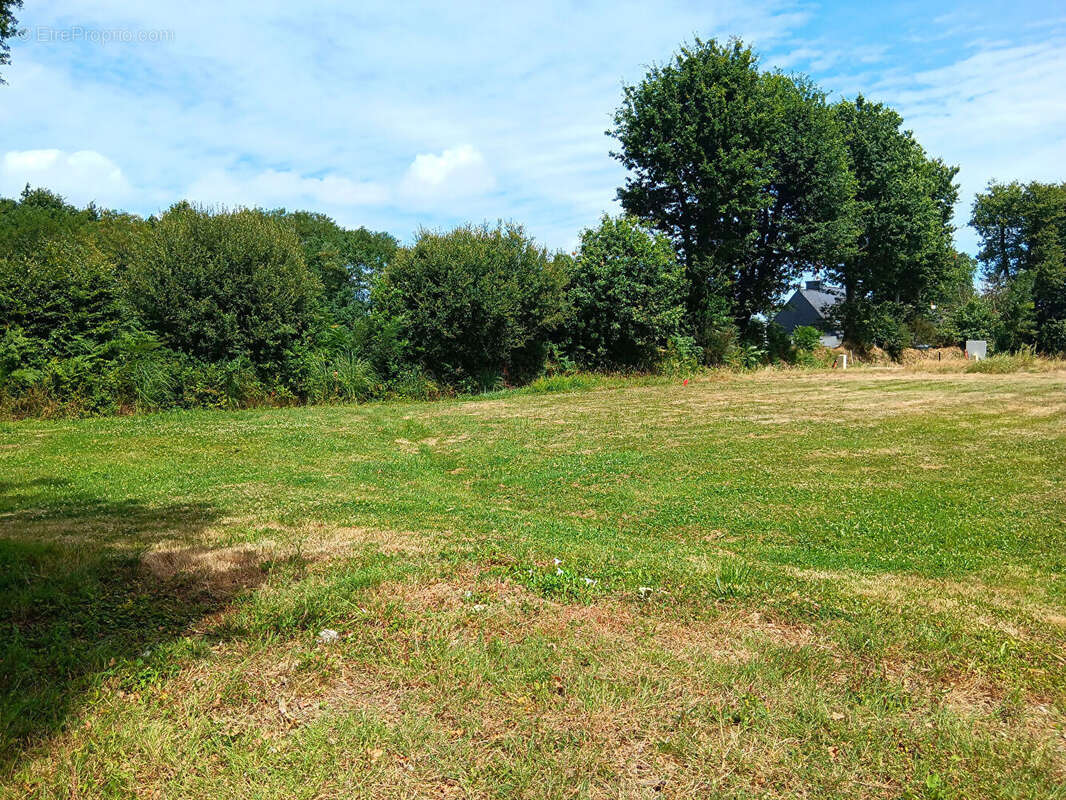 Terrain à SAINTE-ANNE-D&#039;AURAY