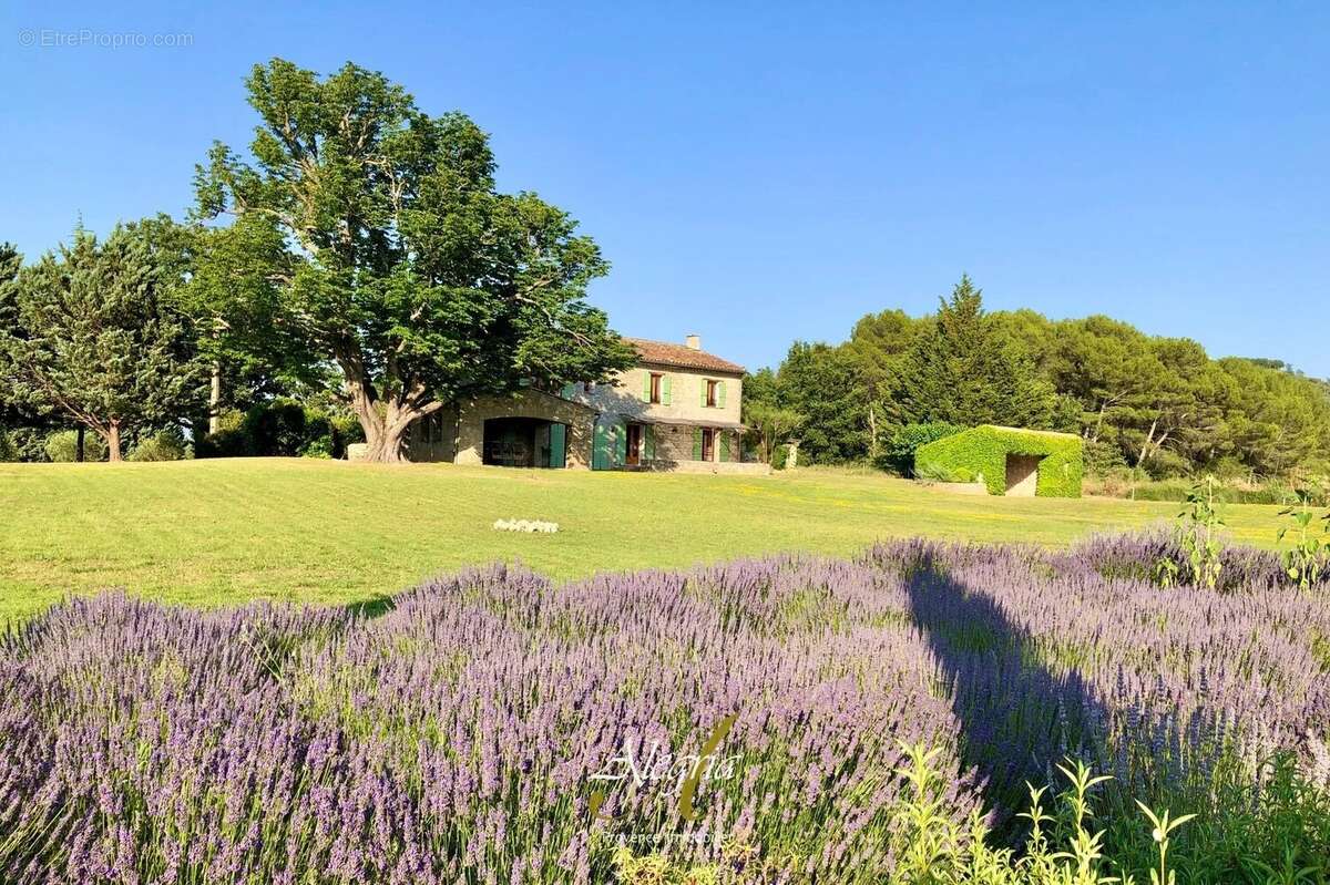 Maison à FOX-AMPHOUX