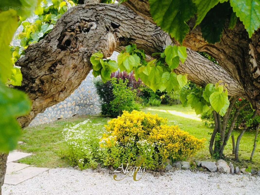 Maison à FOX-AMPHOUX