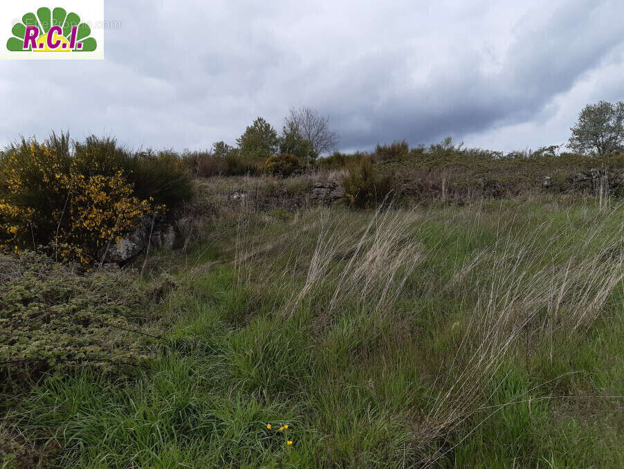 Maison à SAINT-BONNET-LE-CHATEAU