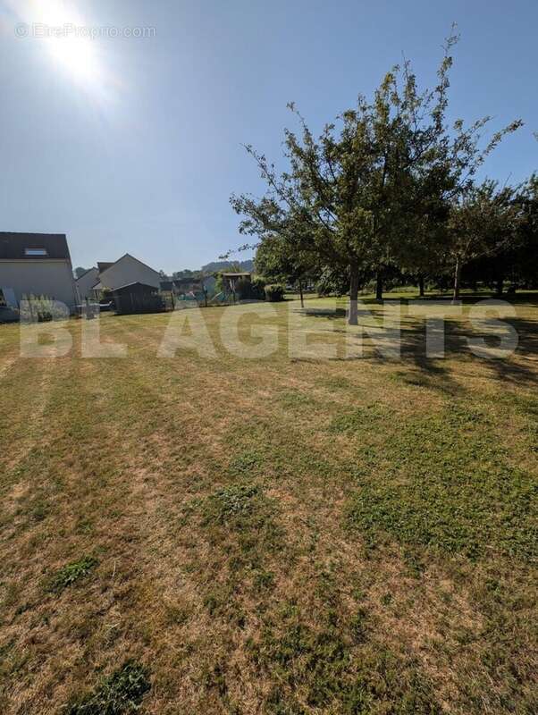 WhatsApp Image 2025-07-16 à 19 - Terrain à TORCY-LE-GRAND