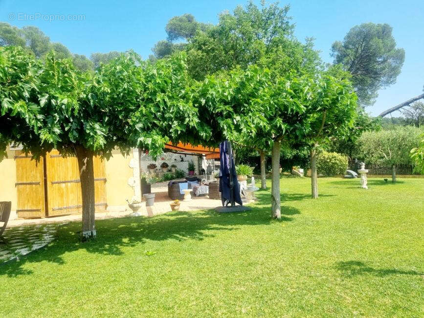 Maison à DRAGUIGNAN